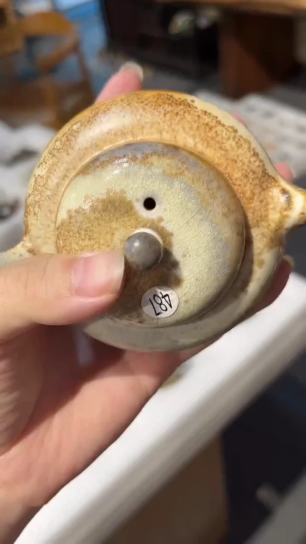 壶487号容量120-130ML中白泥