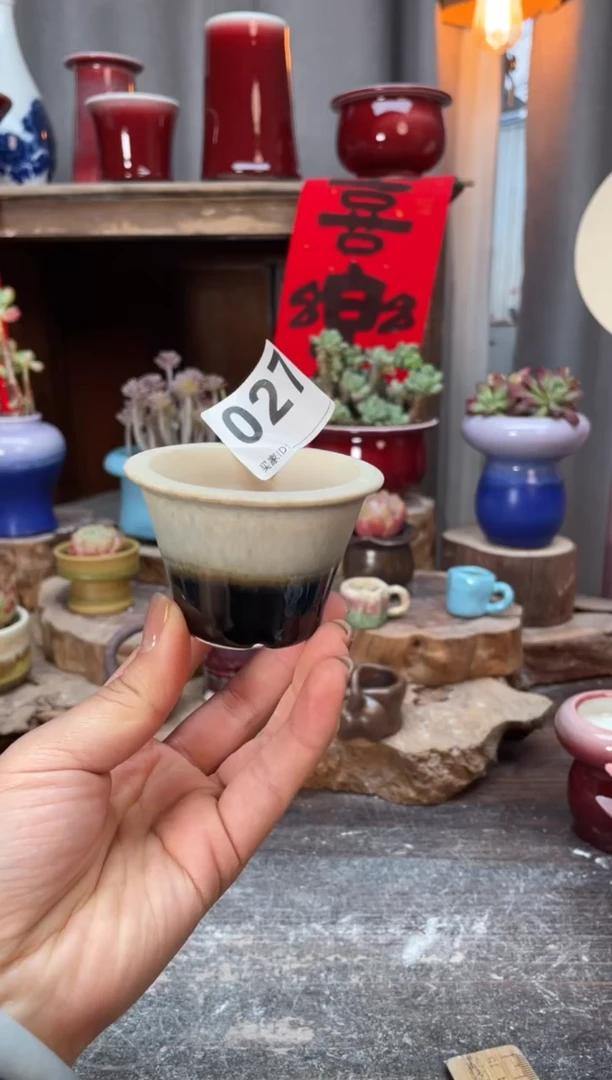 【闪购商品】摆件027知木小芳花盆