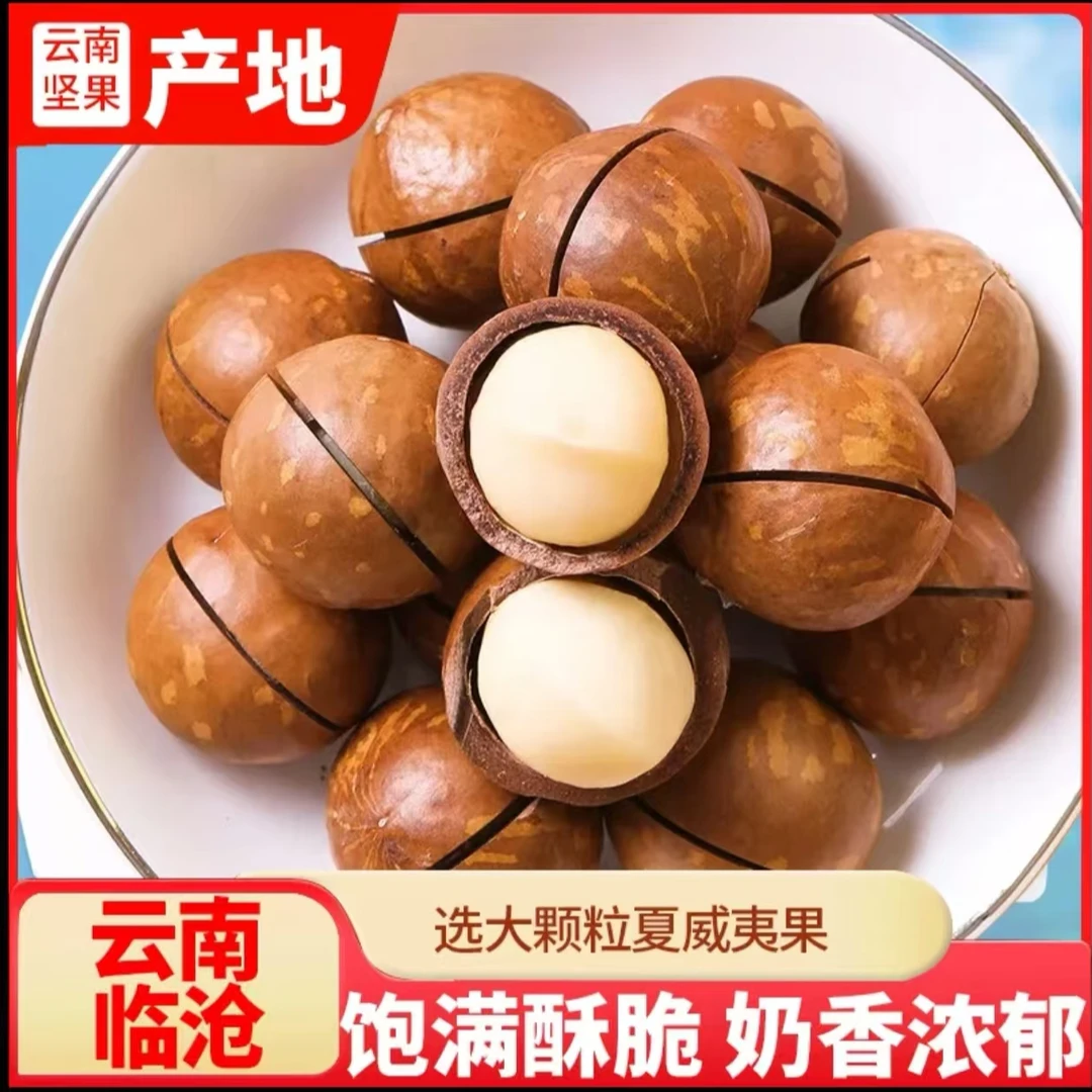 奶香大颗粒夏威夷果新鲜采摘坚果解馋休闲零食22-25mm