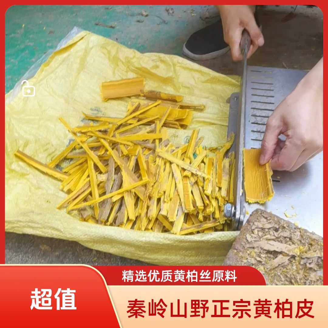 【黄柏丝】秦岭山野黄柏皮黄柏丝