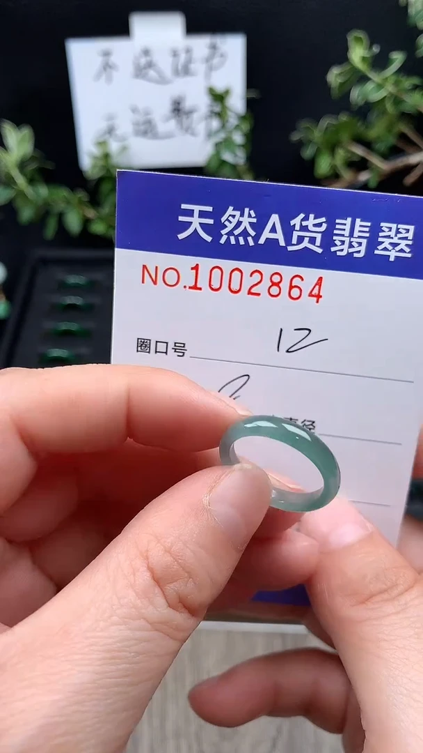 未镶嵌戒指翡翠12#
