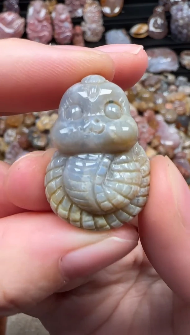 颈饰未镶嵌硅化珊瑚（珊瑚玉）287