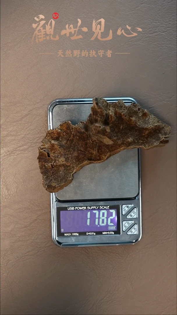 沉香沉香碎屑海南霸王岭壳料 17.82g