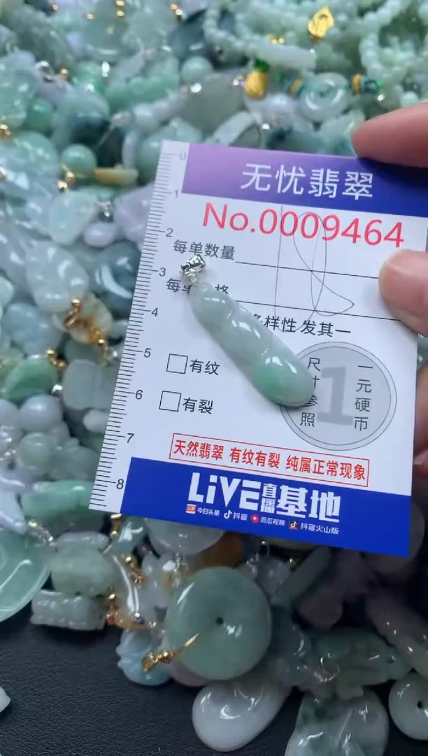 颈饰未镶嵌翡翠9464