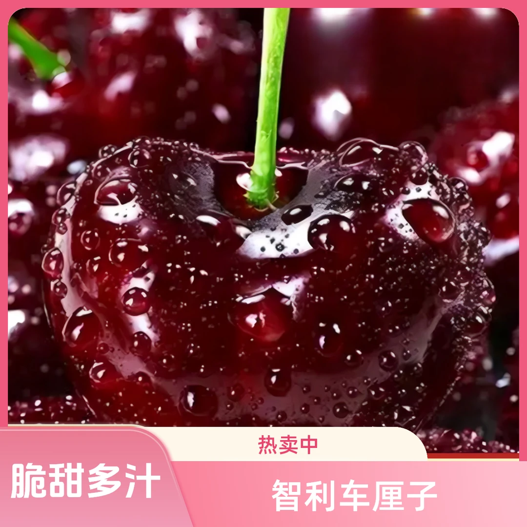 【Ct】智利车厘子桑提娜海运进口4JD1.6新鲜脆甜多汁 内附果径卡