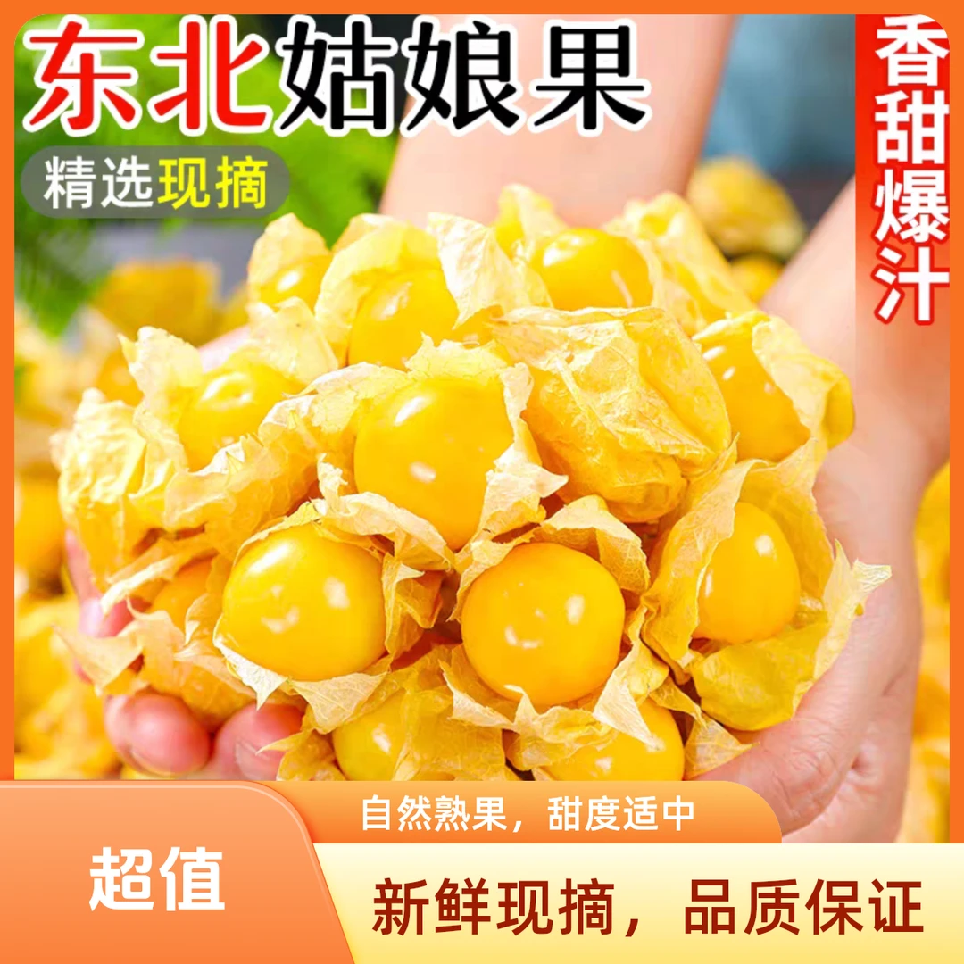 东北陆地小菇娘果香甜饱满美味躲汁 顺丰包邮