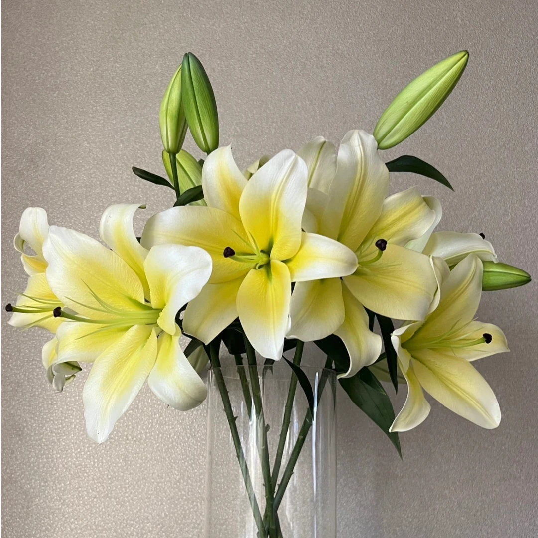 【百合-黄天霸】香水百合 新鲜切花 顺丰包邮