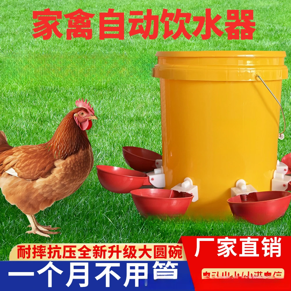 家禽自动饮水器鸡鸭鹅各自喂水器雏鸡鹌鹑自动喂水器家禽自动饮水