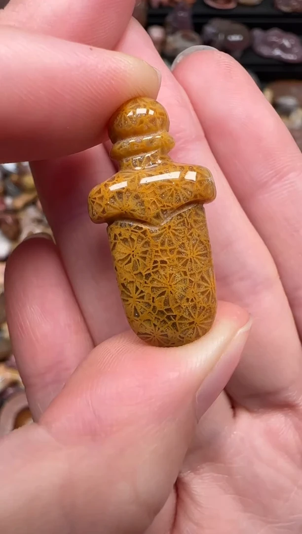 颈饰未镶嵌硅化珊瑚（珊瑚玉）189