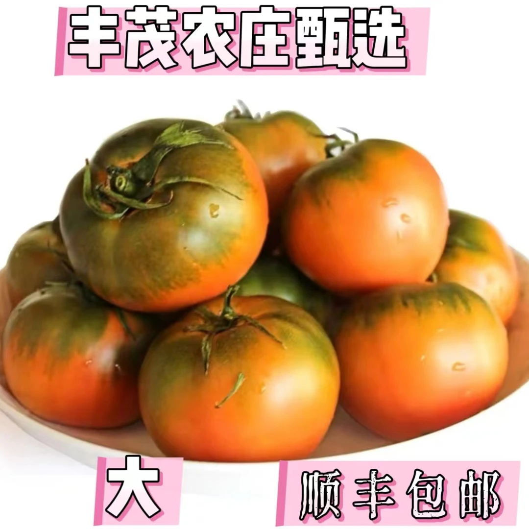 （丰茂）盘锦碱地柿子水果西红柿自然熟5斤柿子
