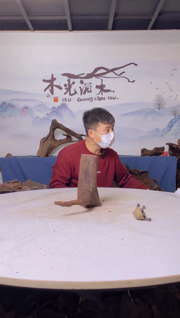 【闪购商品】a467木光沉木木光沉木