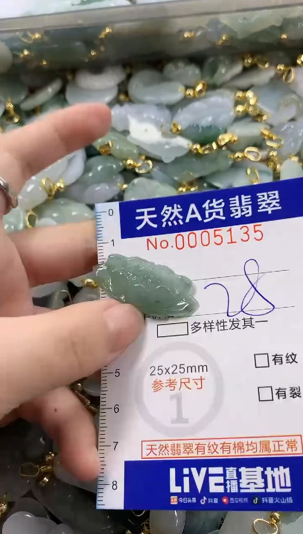 颈饰未镶嵌翡翠天然A货翡翠