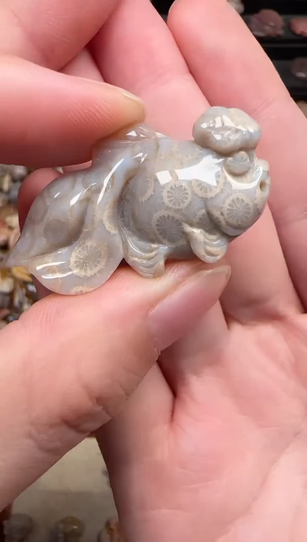 颈饰未镶嵌硅化珊瑚（珊瑚玉）101