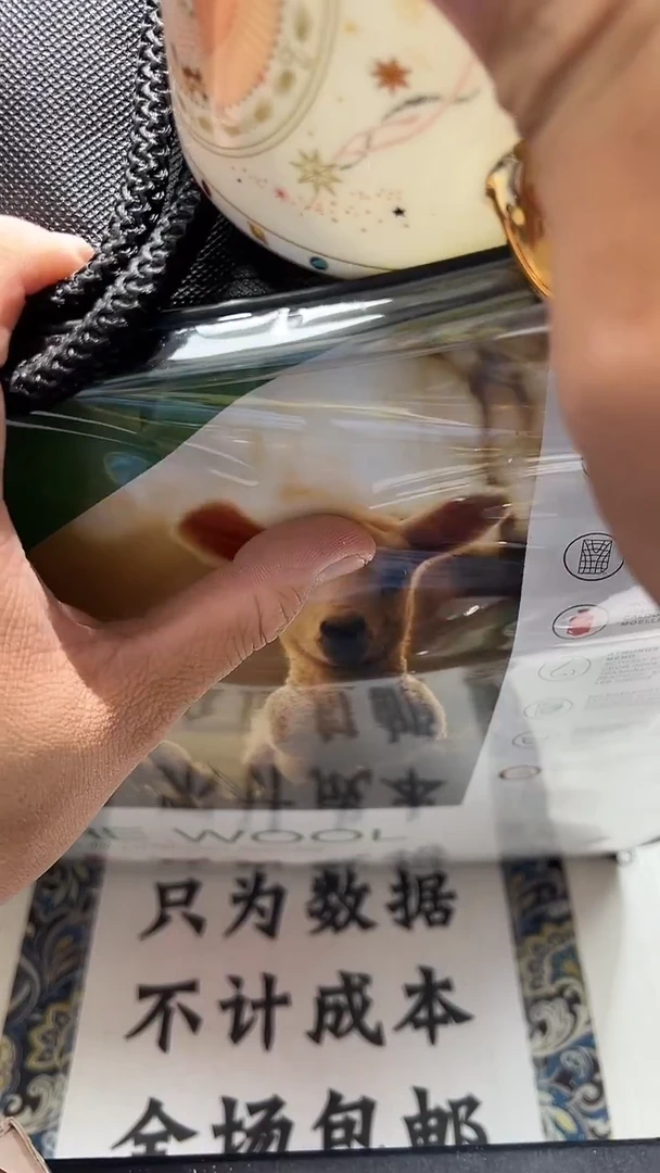 瓷片111111111111@@1