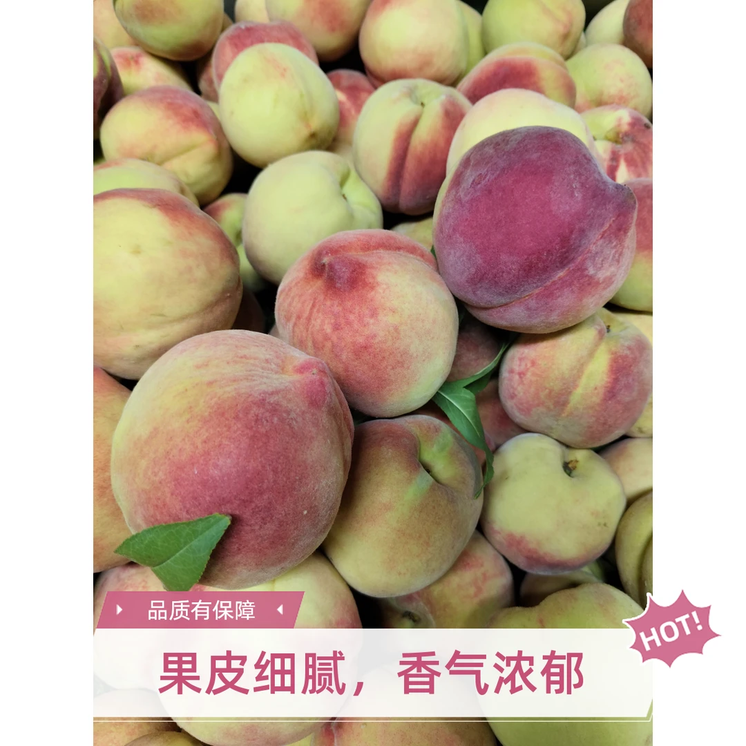 新鲜采摘大突围毛桃桃子同城送山东省