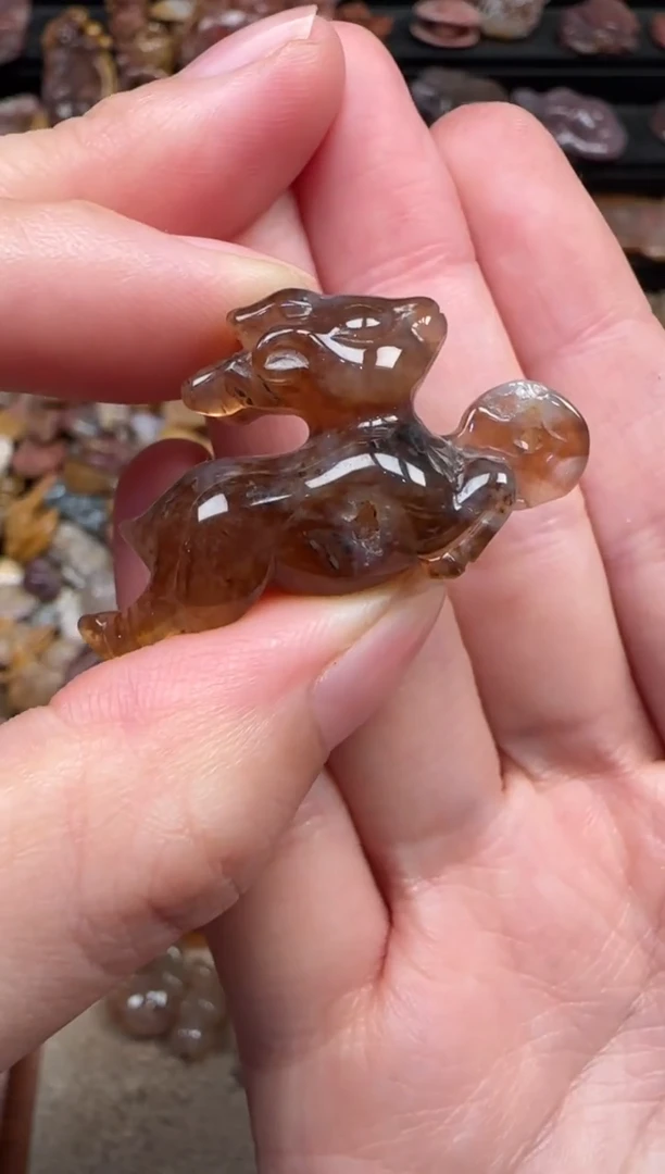 颈饰未镶嵌硅化珊瑚（珊瑚玉）670