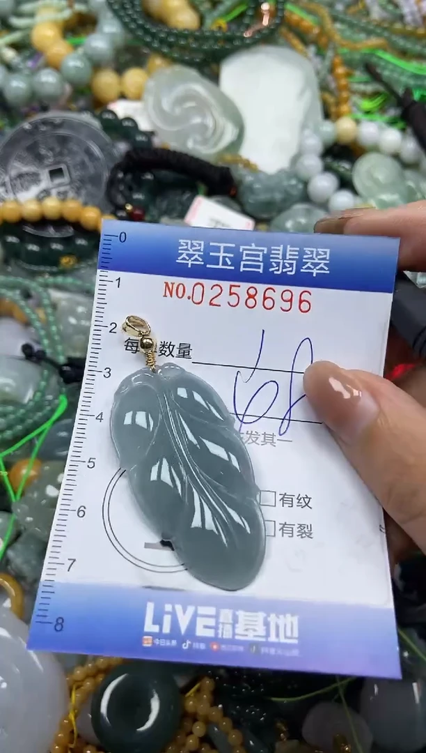 颈饰未镶嵌翡翠闪购C0258696