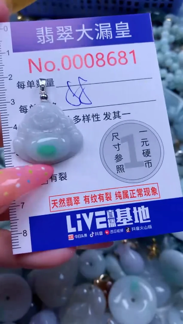 翡翠未镶嵌吊坠(不含链)8681