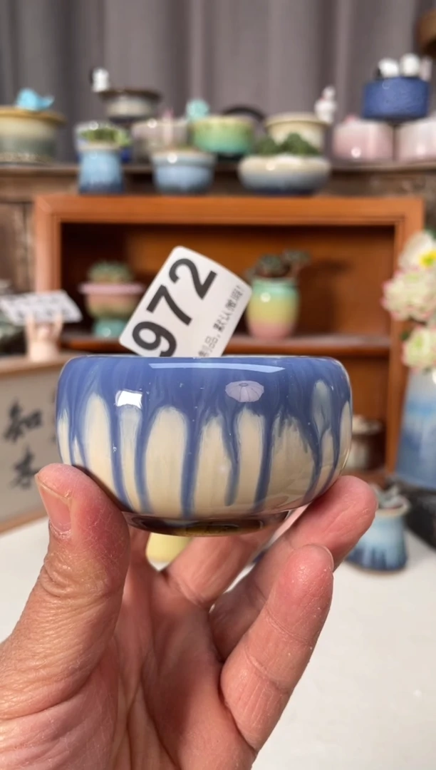 瓷片972小芳直播编号