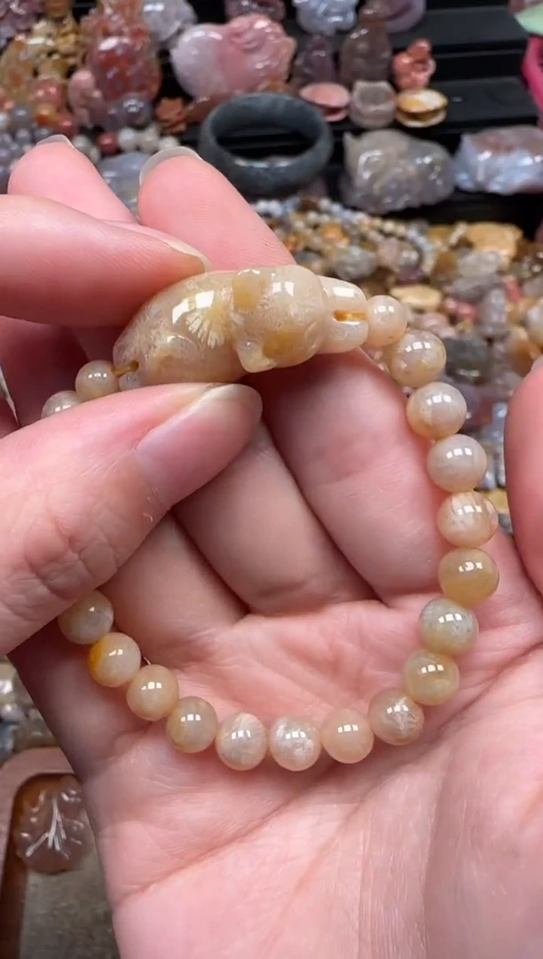 颈饰未镶嵌硅化珊瑚（珊瑚玉）639