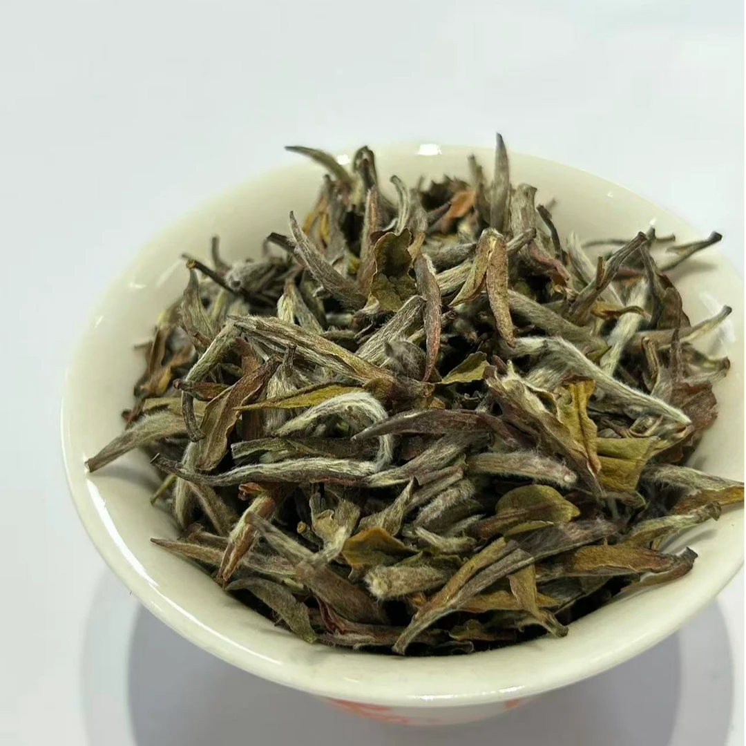 2013年抛荒老树头采银针