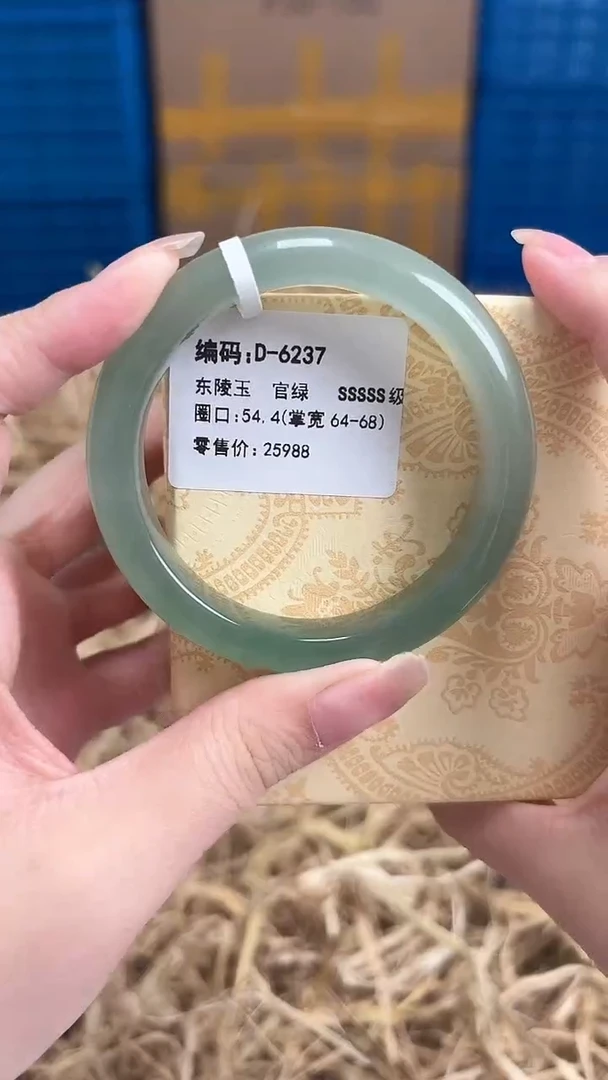未镶嵌手镯石英质玉D-6237