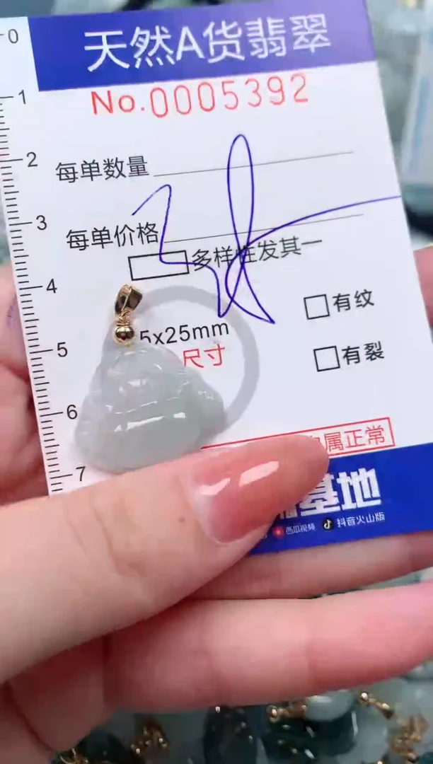 【闪购商品】翡翠颈饰未镶嵌00005392