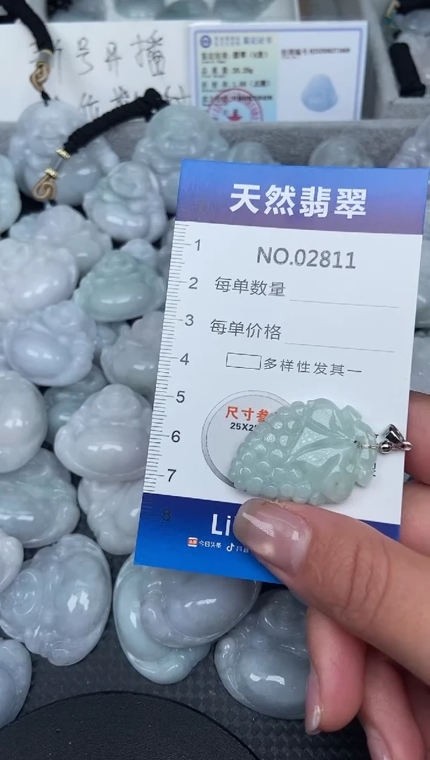 颈饰未镶嵌翡翠纯天然A货翡翠2811
