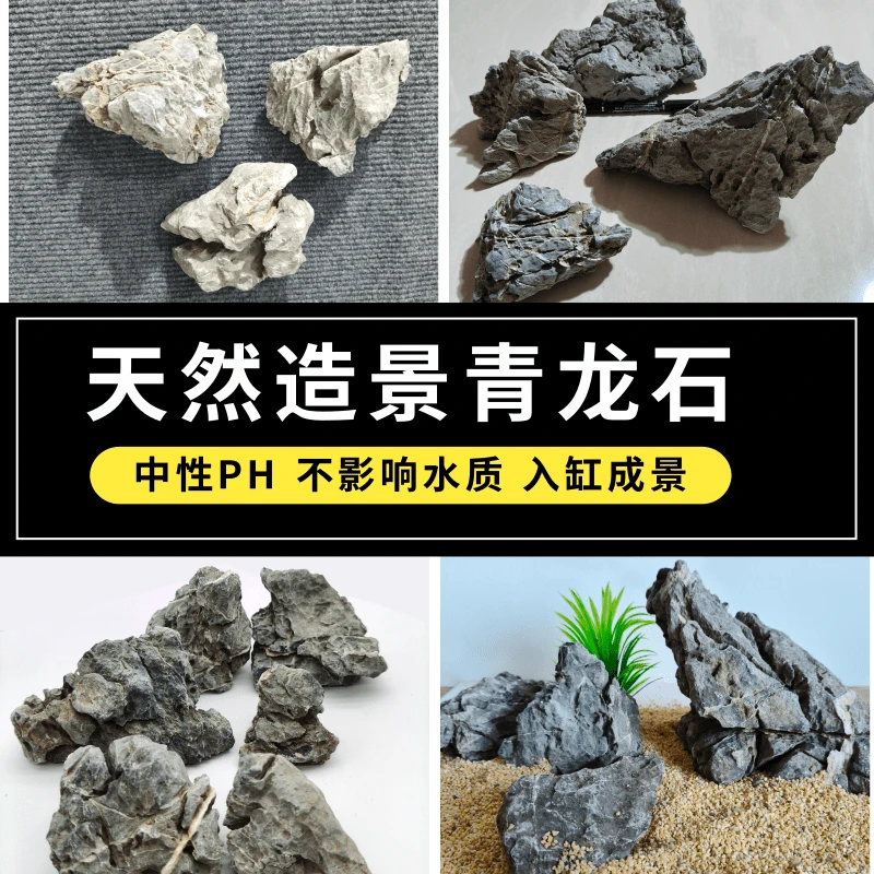 精品青龙石长条造景假山原石装饰鱼池生态鱼缸造景材料微景观园艺