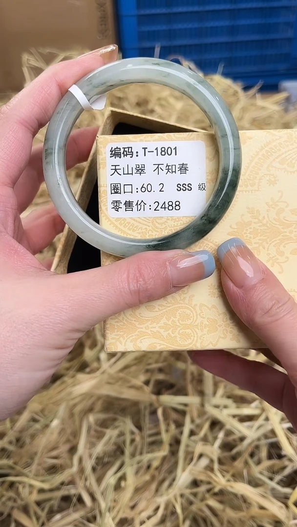 未镶嵌手镯石英质玉T-1801
