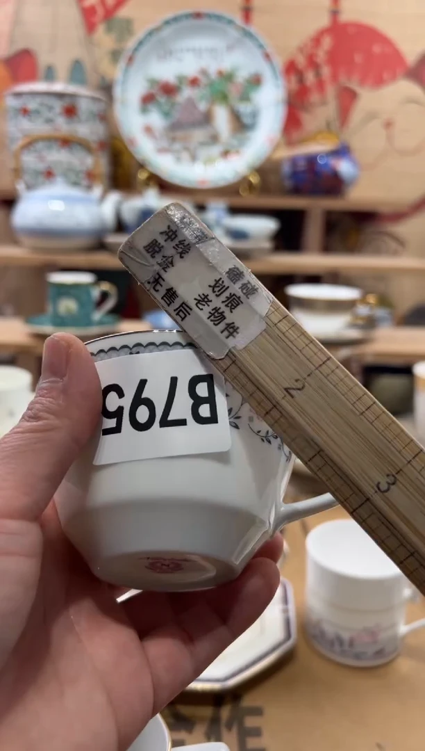 瓷片我****檬瓷片------B795