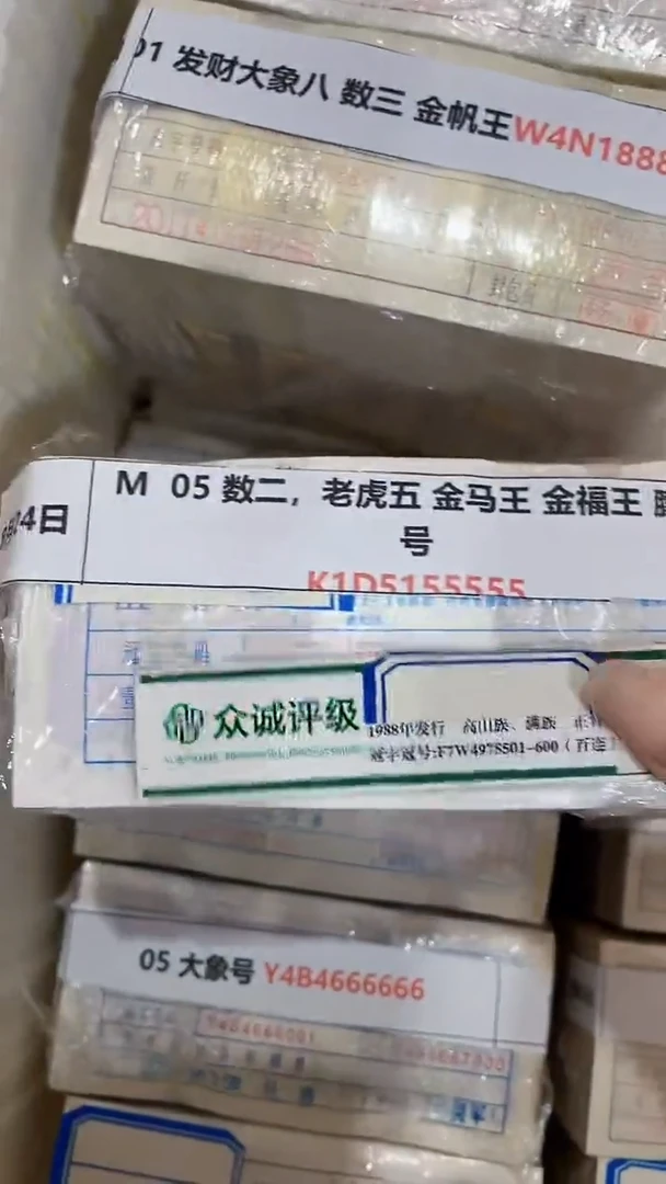 M  05 数二，老虎五 金马王 金福王 朦胧号 K1D5155555
