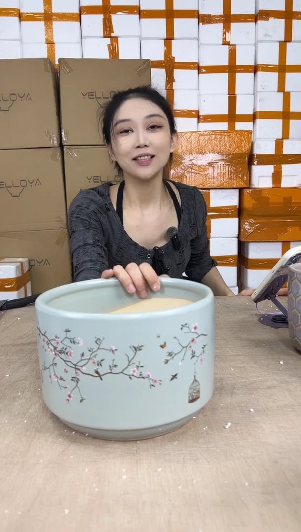 蝴蝶兰鸟笼蓝色中号21x15