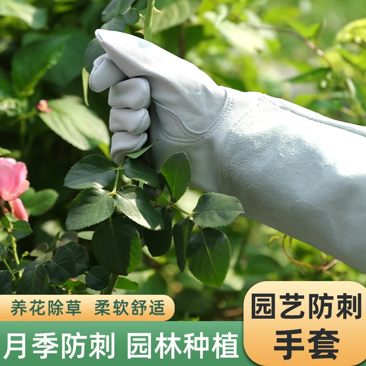 【达人】园艺防刺手套种花修枝月季防护养花仙人掌防扎玫瑰花打刺