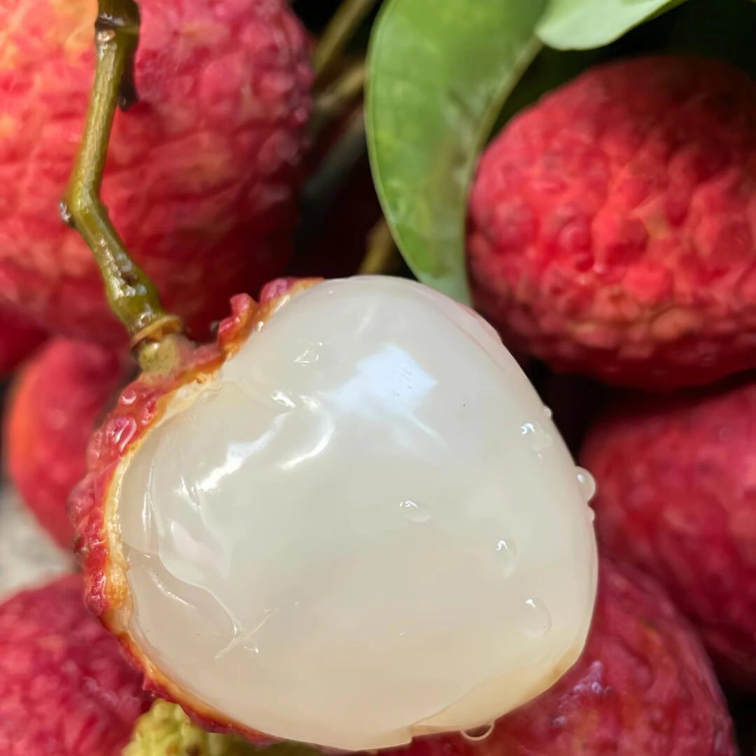 【生鲜冷链】广东茂名新鲜现摘现发爆甜荔枝水果应季鲜果.