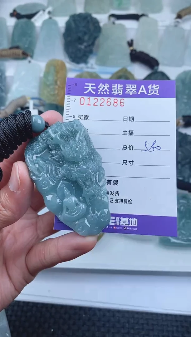 【闪购商品】翡翠颈饰未镶嵌        686