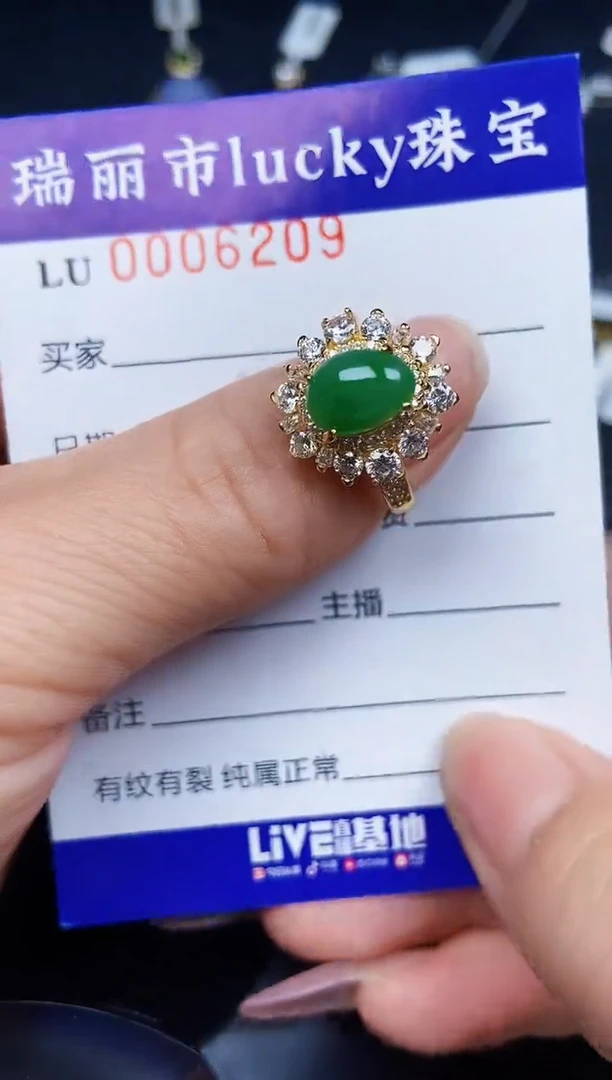 翡翠银S925镶嵌颈饰6209