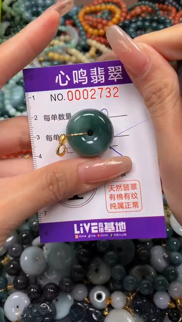 颈饰未镶嵌翡翠闪购002732