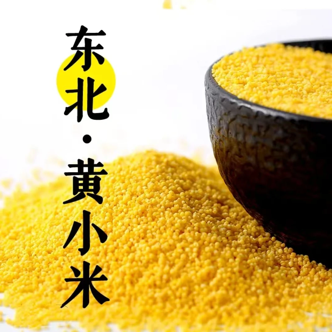 东北小米香糯黄小米月子米五谷杂粮 农家黄米小米粥