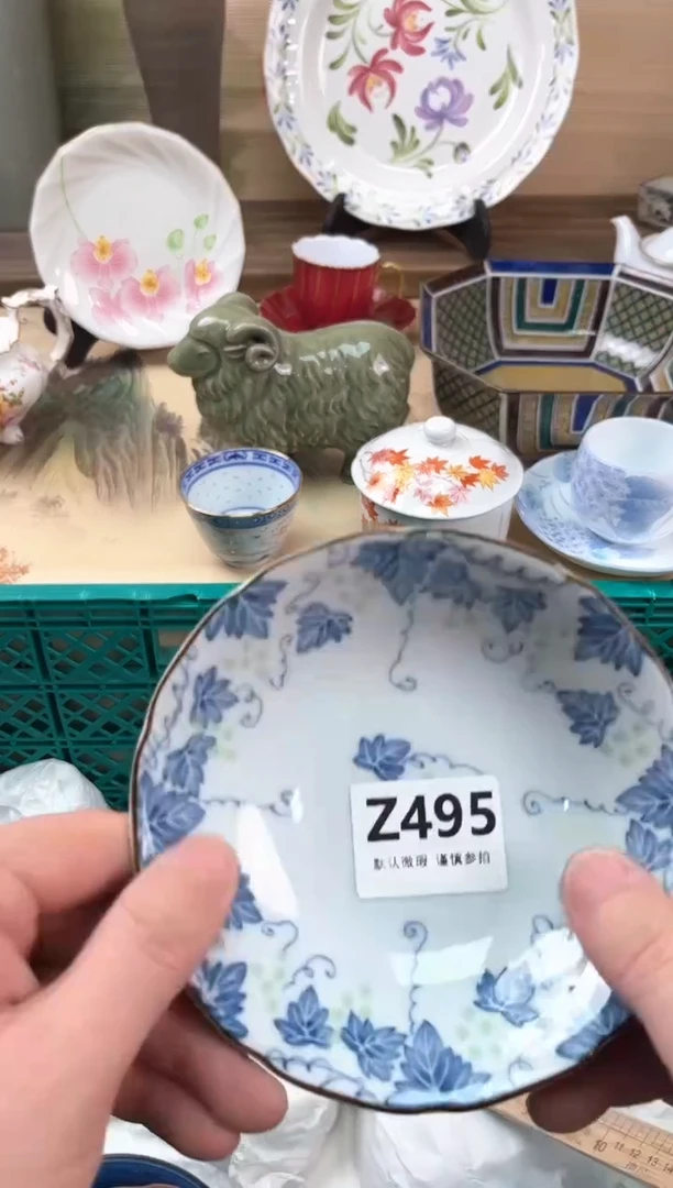 瓷片垚****子495