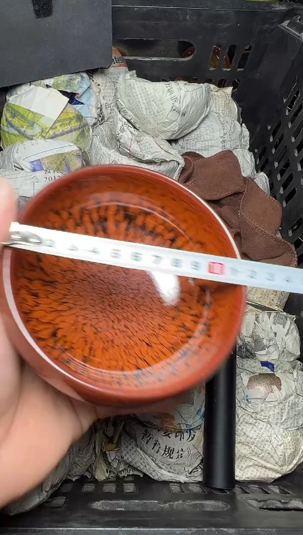 茶盏红鹧鸪 大禅定