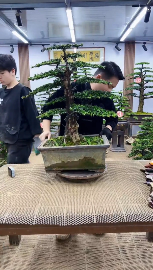 【闪购商品】00000000