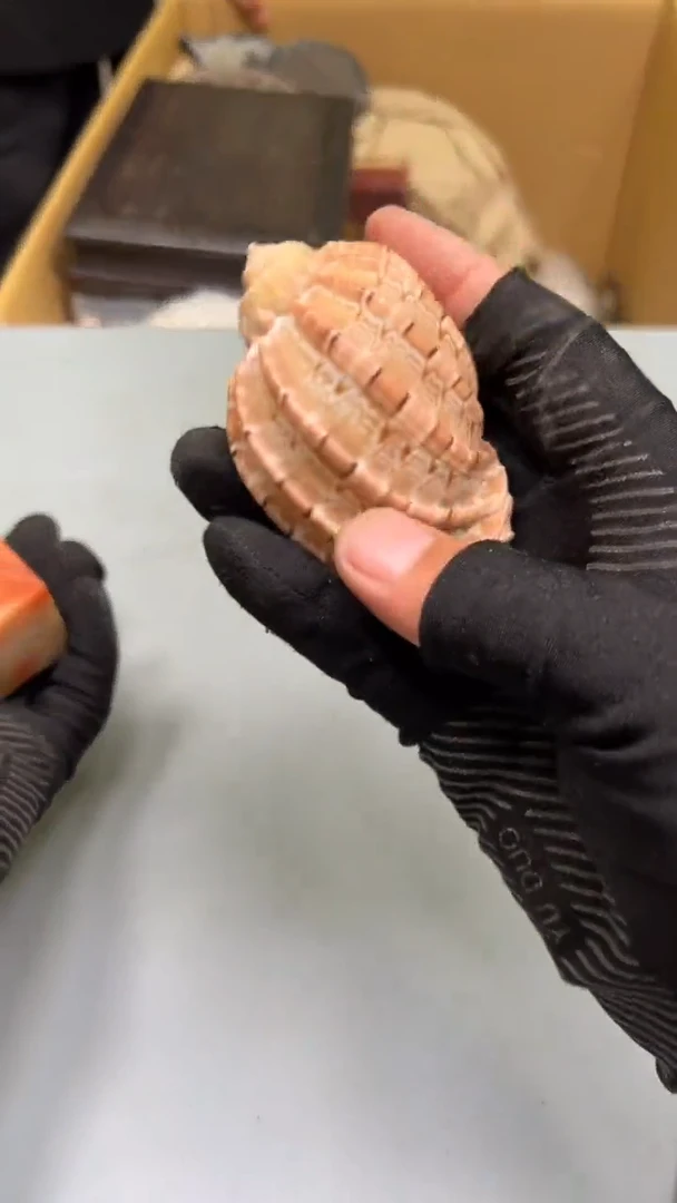 无**求紫砂道具紫砂道具