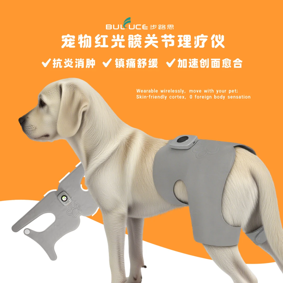 步路思宠物红光髋关节理疗仪无线控制穿戴设计宠物康养保健