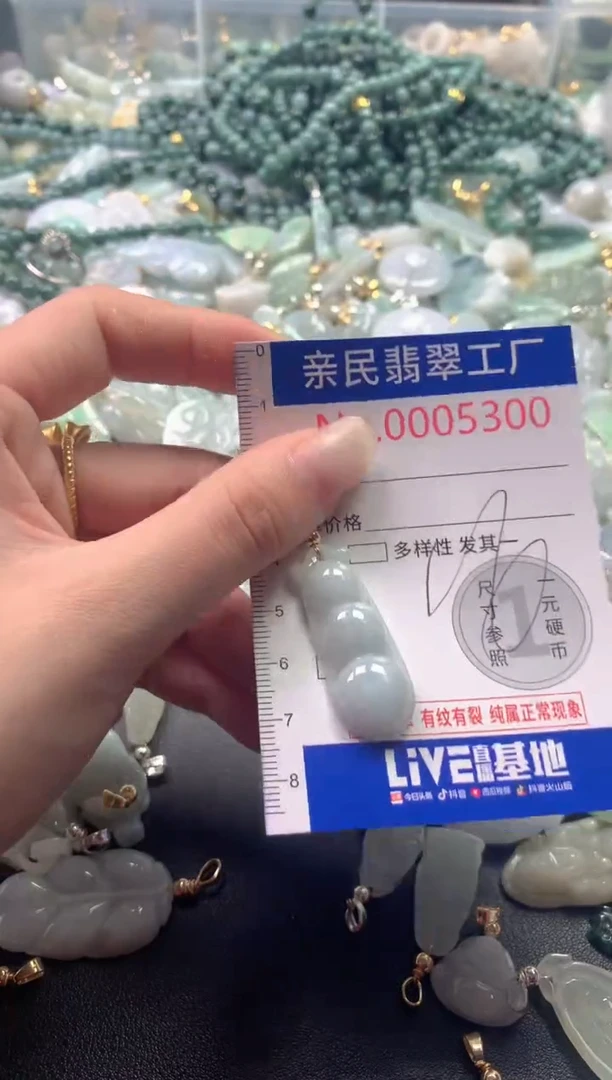 【闪购商品】翡翠吊坠(不含链)未镶嵌5300