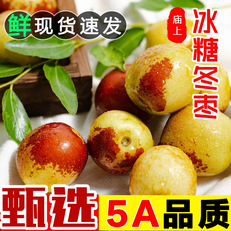 【树上熟】大枣头茬庙上冬枣新鲜现摘脆甜多汁当季冬枣5斤特级大果