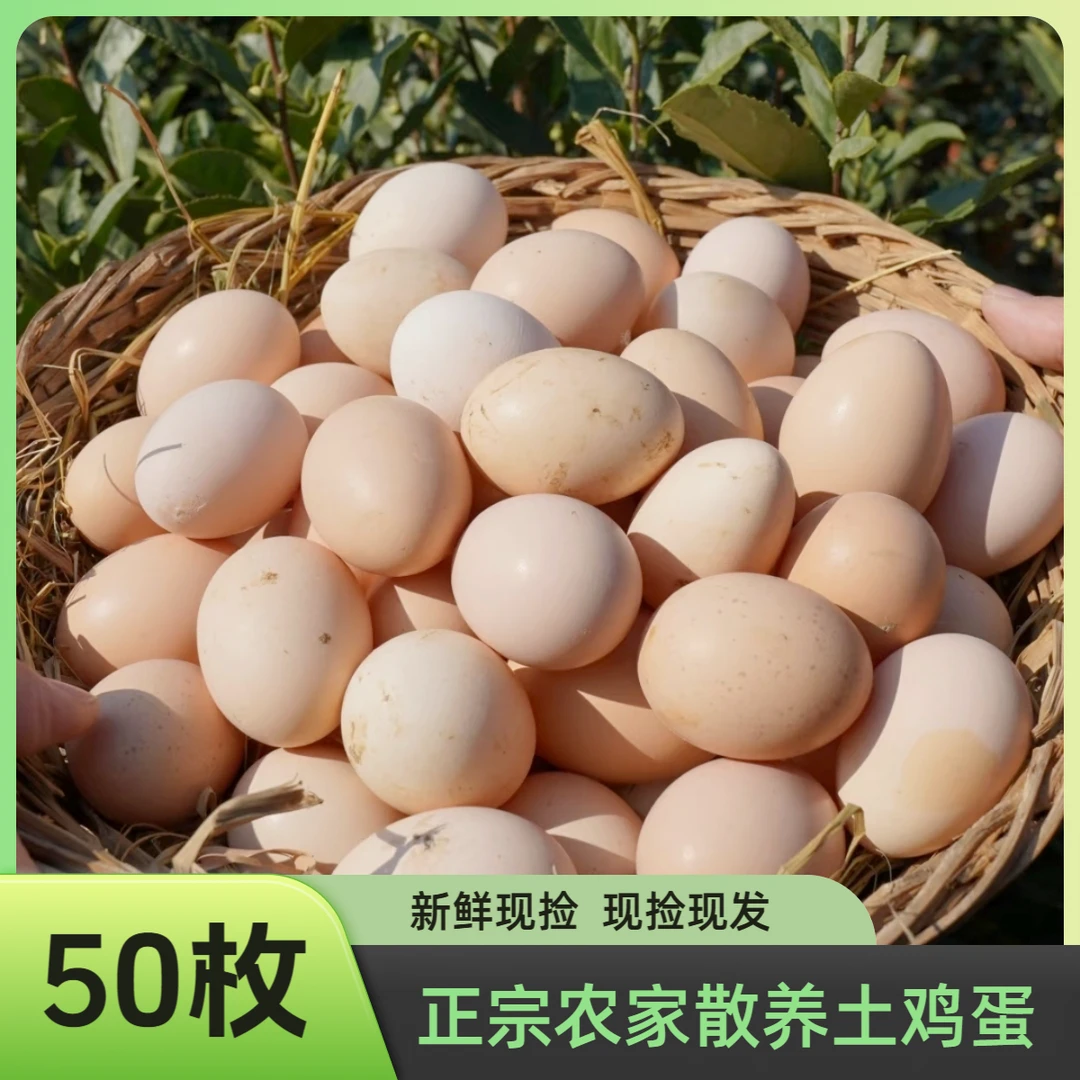 【破损包赔】农家散养土鸡蛋五谷喂养新鲜笨鸡蛋健康营养丰富