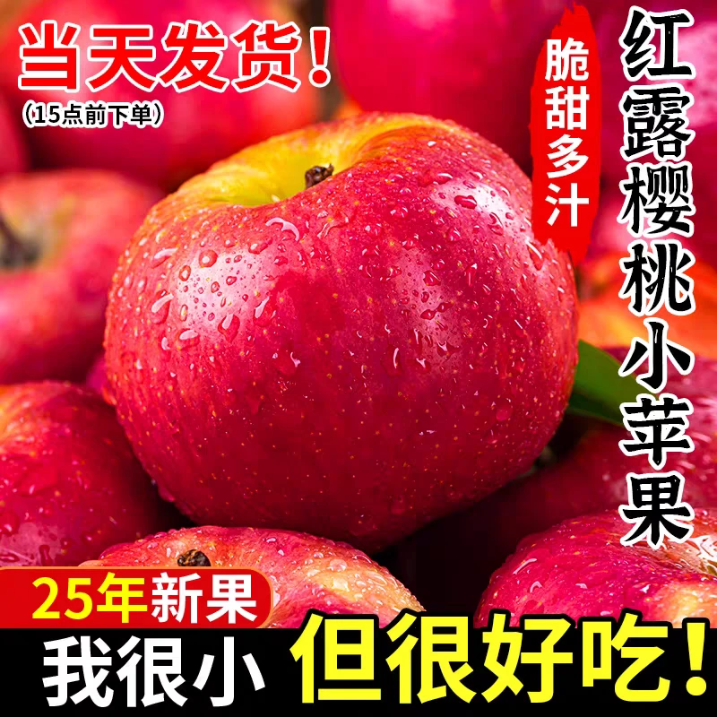 云南昭通红露苹果纯甜无酸新鲜采摘红富士水果现摘5斤起包邮脆甜