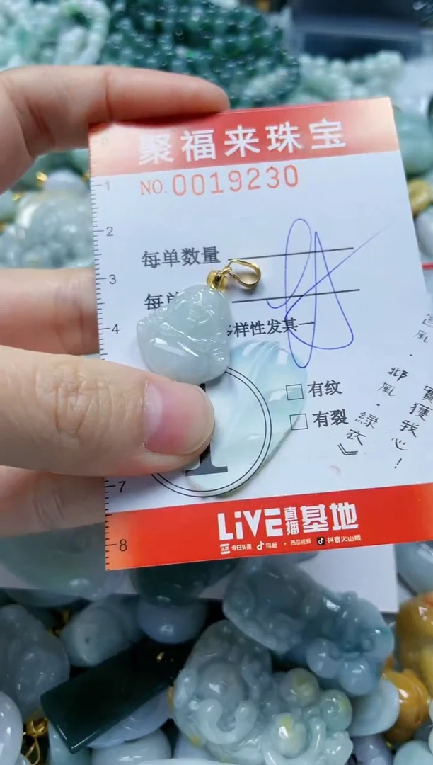 【闪购商品】翡翠颈饰未镶嵌闪购0019230