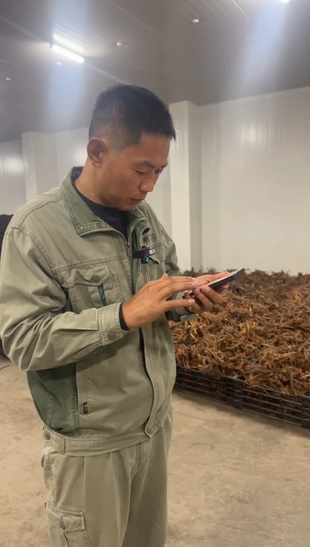 网* 网名  328  火舞